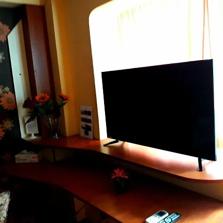Studio Piata Romana Apartment